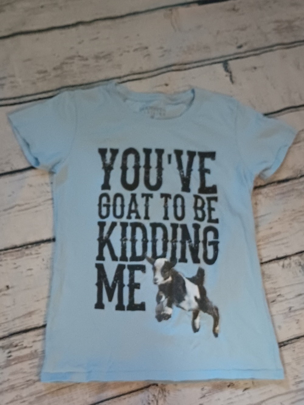 Farm Fed Clothing Light Blue You've Goat To Be Kidding Me Graphic Tee Shirt S